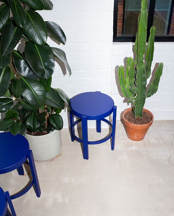 A minimalist indoor scene with two green potted plants and a cactus beside three round, bright blue stools on a light-colored floor next to a white brick wall and a window.