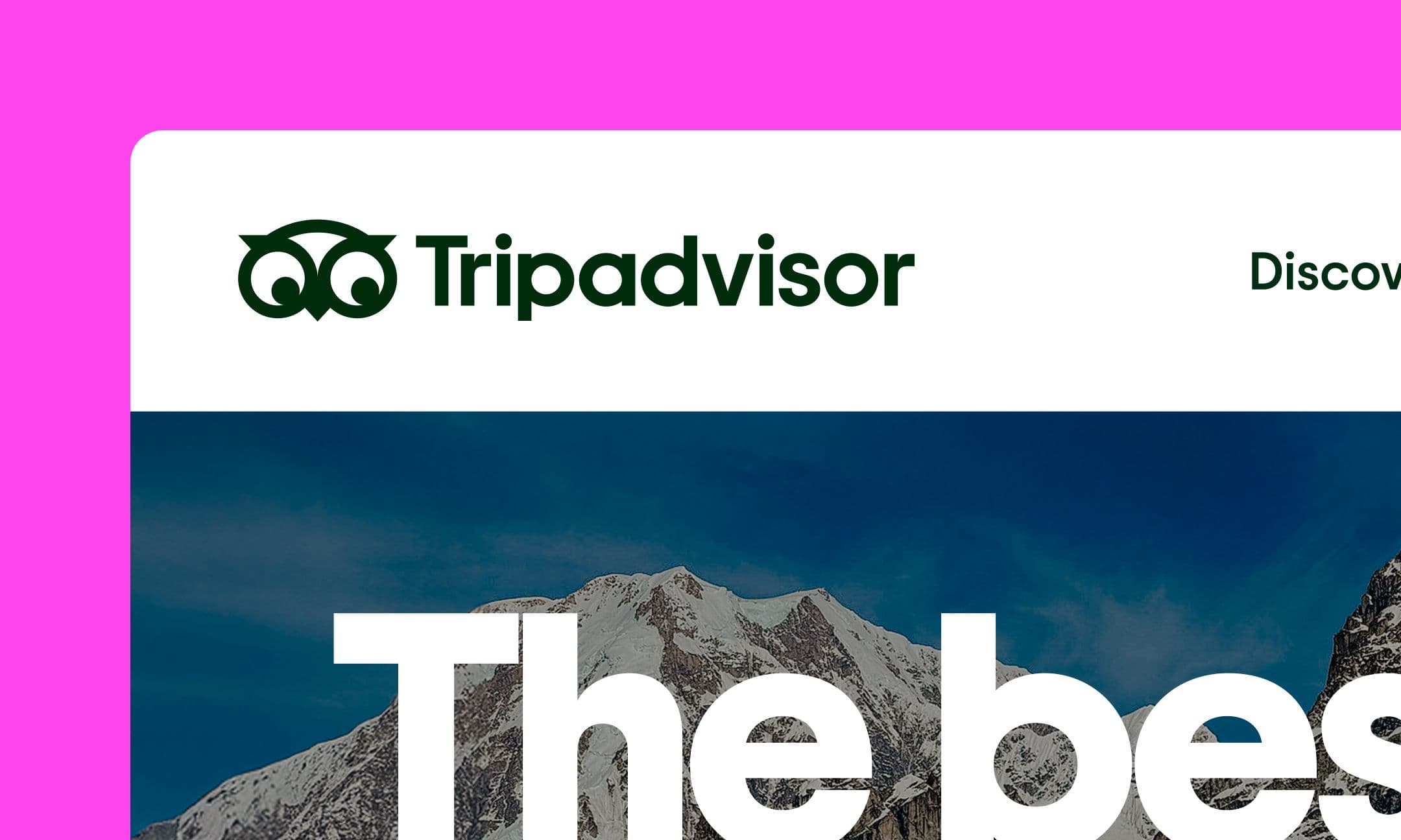 A screenshot of the Tripadvisor website header.