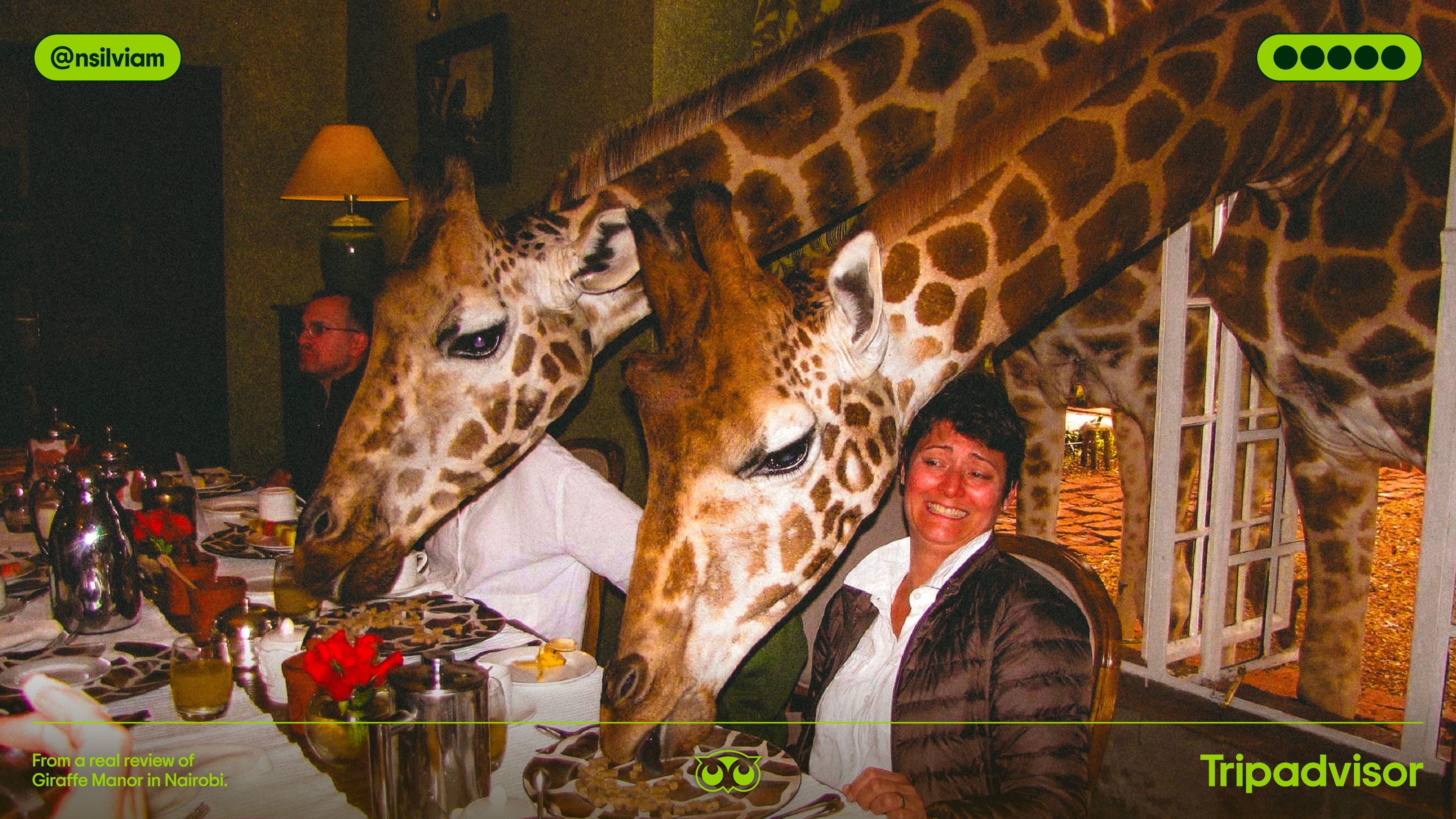 A woman smiles at a dining table as two giraffes stretch their necks through a window to eat from the table, surrounded by other diners. The image has Tripadvisor branding and a social media handle.
