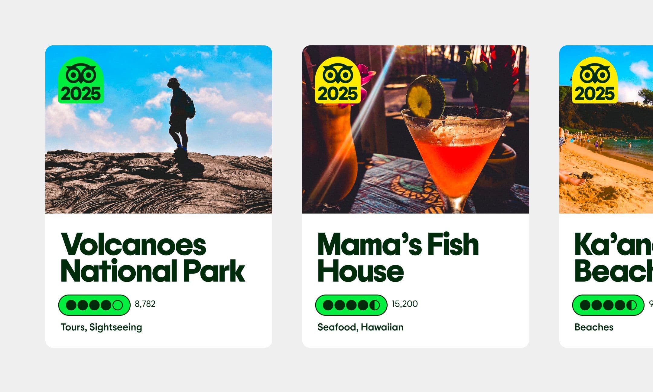 TripAdvisor tours and sightseeing attractions shown as digital cards.