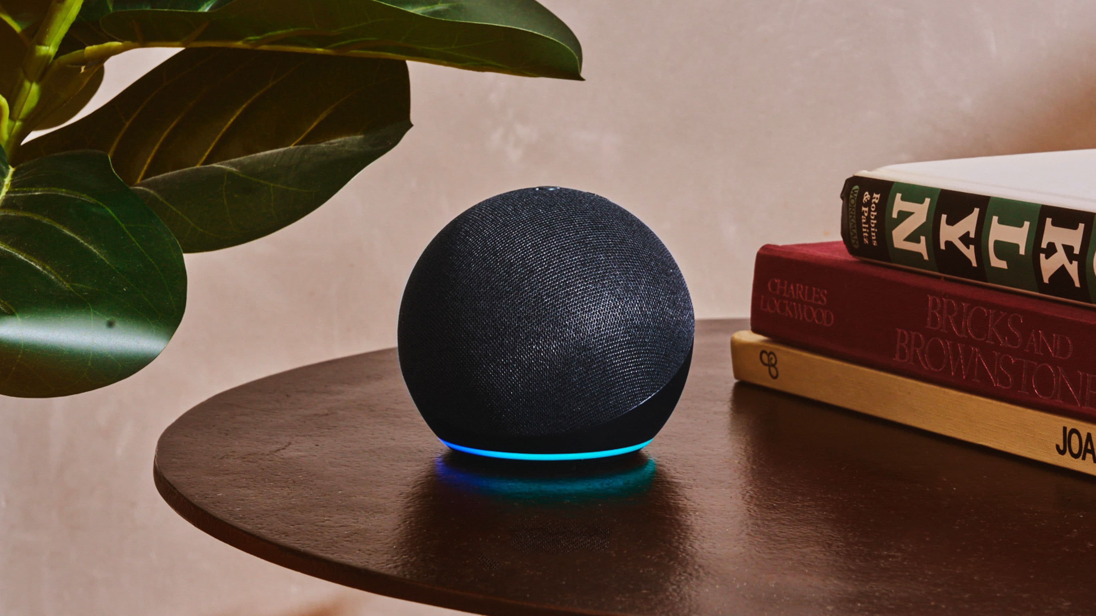A black Amazon Echo smart speaker with a glowing blue base sits on a round wooden table next to a stack of books and a green leafy plant.