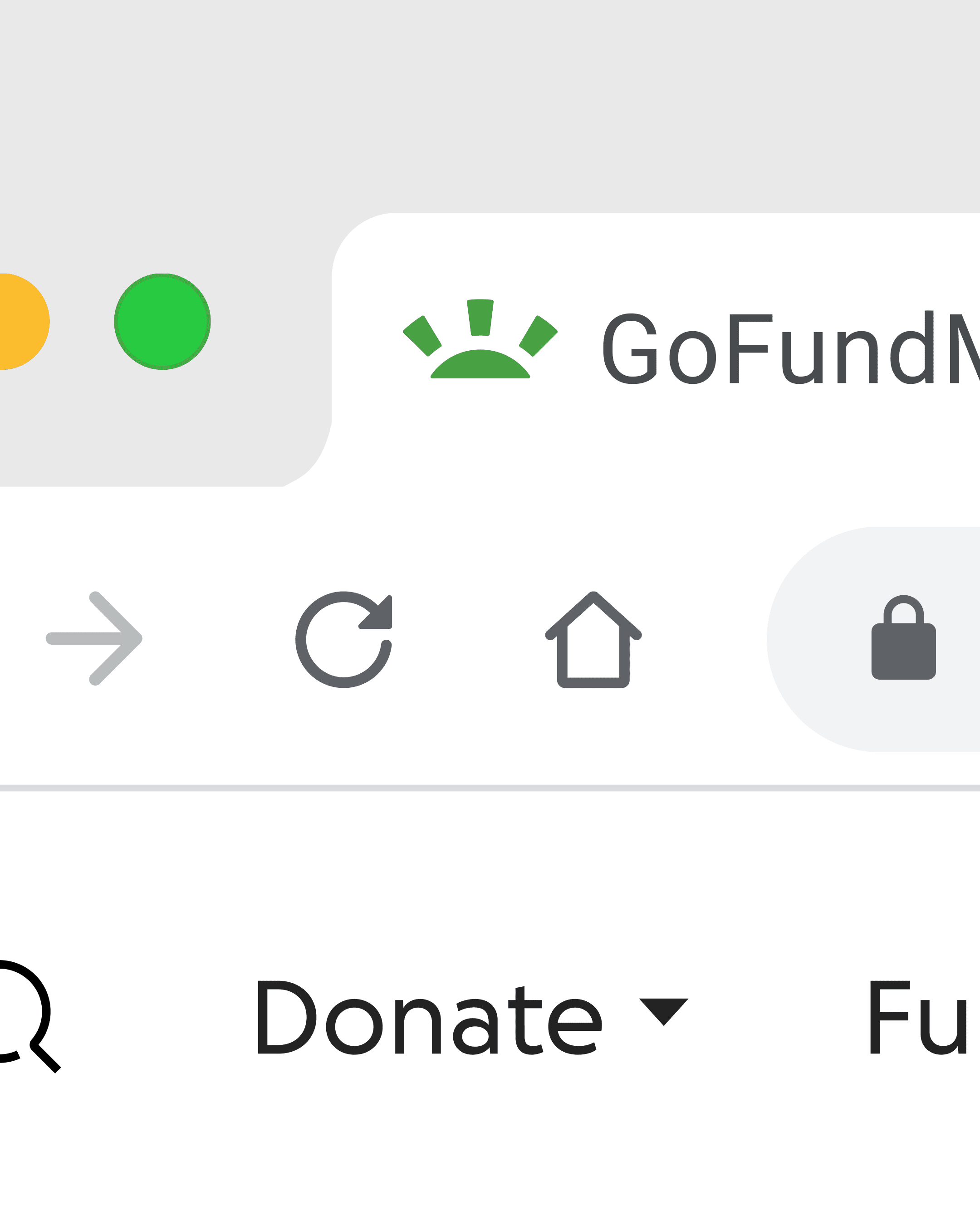 A close-up screenshot of a web browser showing part of the GoFundMe website, with browser navigation icons, a green and yellow traffic light indicator, and the word Donate visible.